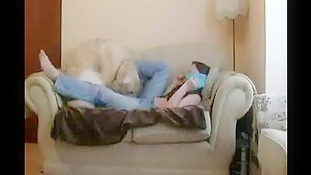 Shock Video: Dog Porn Caught on Spy Cam!