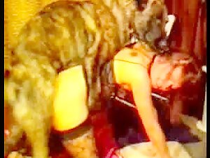 Wild Adventure Awaits: Watch and Download Free Girl Sucking Deep Black Horse Porn!