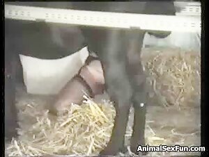 Transform Your [Content] Into Something Spectacular - Here's How!