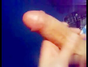 Experience the Wild with Free Animal Video Downloads from the xxx Video Zoo!