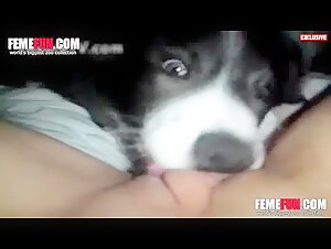 Curly Teen Spreads and Swallows Animal in Unbelievable Animal Sex XXX!