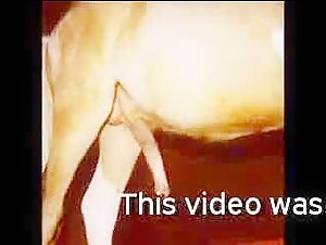 Revealing the Wild Side: Experience the Thrill of Free Sex Animal Porn Videos!