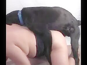 Shocking Video Alert: Watch Man and Female Dog Engage in Intimate Act - Free Porn Video Now!