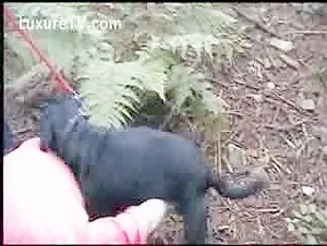 free animal porn video clip free porn video watch now