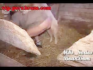 Unlock the Forbidden World of Free Sex Porn Zoo XXX!