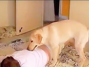 Asshole smeller pet free porn video xxx