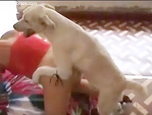 good dog deep pussy babe blonde watch animal sex xxx