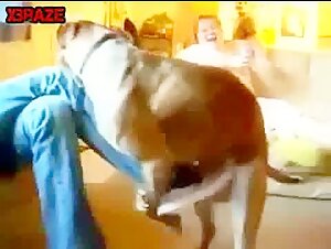 sex zoo porn clip sex animal porn clip