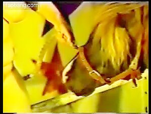 xxx video zoo horse sucks Porn zoo is available in a wide variety of subgenres.