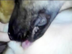 Free zoo sex videos of men fingering a dog's tight a$$hole movies depicting men, women, and children being sexually abused by animals.