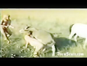 Zoo sex - Animal porn - Free xxx zoo sex videos for the public Animal sex, especially hot zoo sex films, please choose a category.