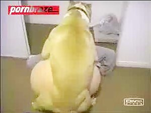 You can watch a wide variety of pornographic genres on the Big Dog Hardcore Sex With Tiny Girl xxx video zoo.