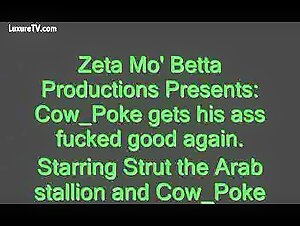 You can watch a variety of pornographic genres on xxx video zoo.