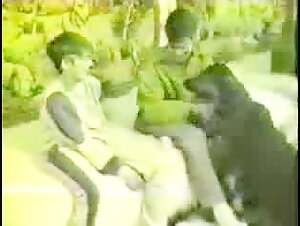 Extremely appealing and intriguing animal sex categories include "dirty teen gay fun with dog" and "animal sex top videos free sex watch."