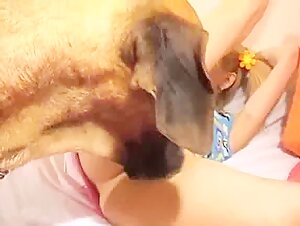 Zoo porn xxx top: Little Girl Gloat Sucking Cock Dog the biggest website for animal sex in the world