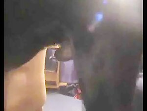 animal abuse Watch and download this video of the girl having dog sex for free at the zoo.