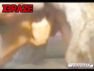 Free zoo sex videos of animals making love to girls and boys