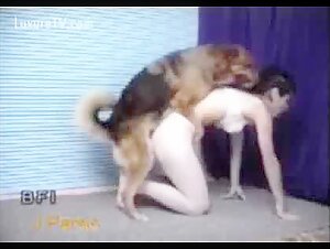 In xxx video zoo, you may see a wide variety of pornographic styles.