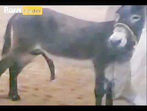 exclusively on our website goat goat watch free porn video watch free animal sex
