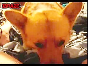 You can watch a variety of pornographic genres on xxx video zoo.