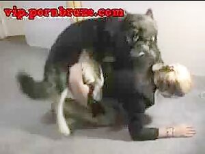 You can watch a variety of pornographic genres on xxx video zoo.